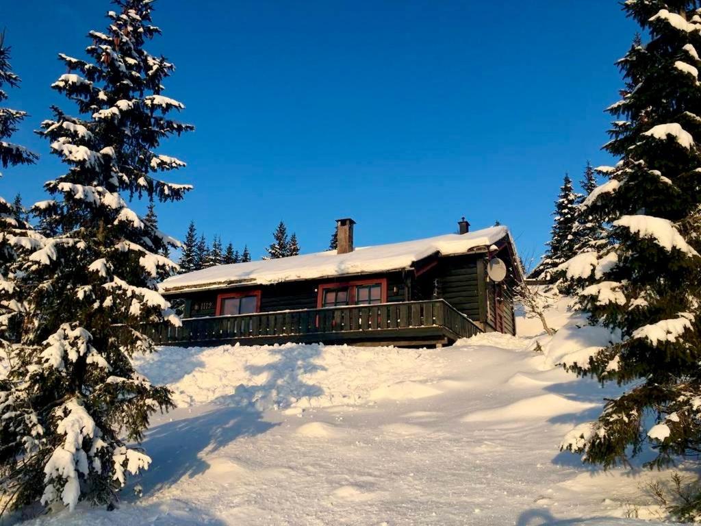 Large cabin at Sjusjøen with sauna, fireplace, view and cross-country skiing