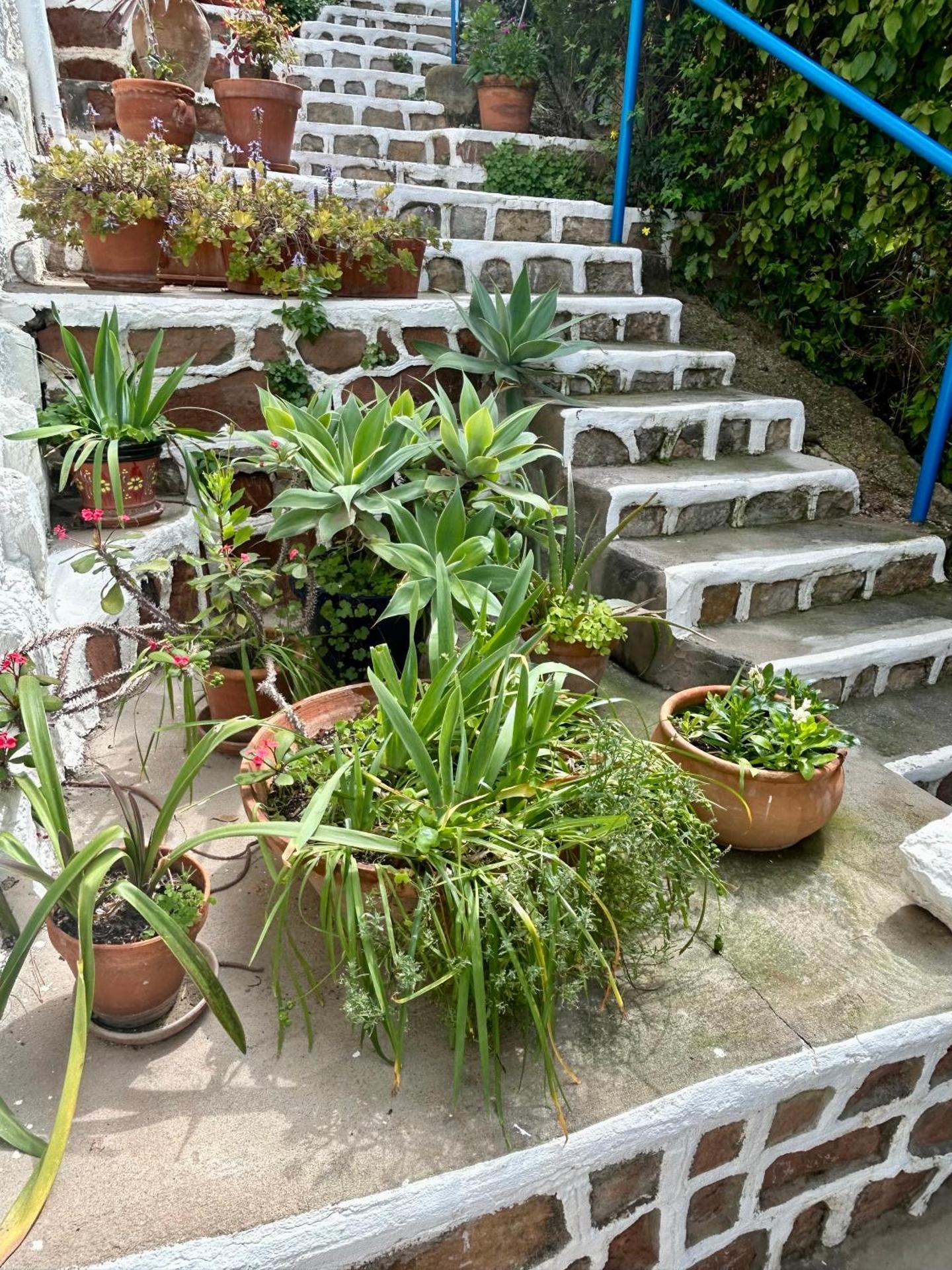 Marvellous Malaga Mediterranean and Mountain Views