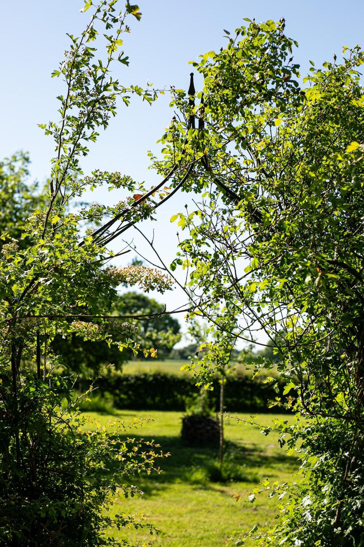 Natuurhuisje De kleine Varenhorst