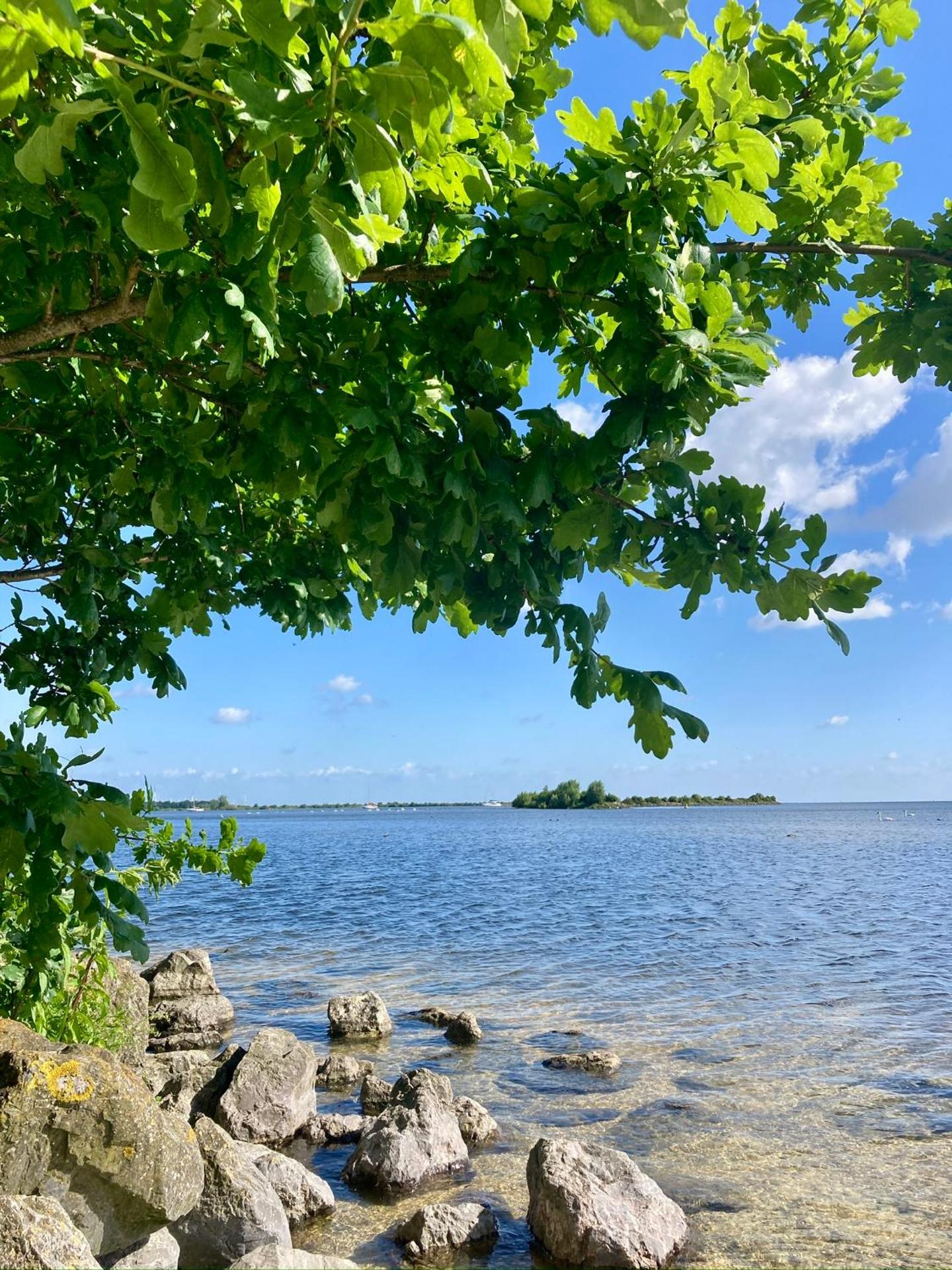 Landelijk gelegen houten huisje