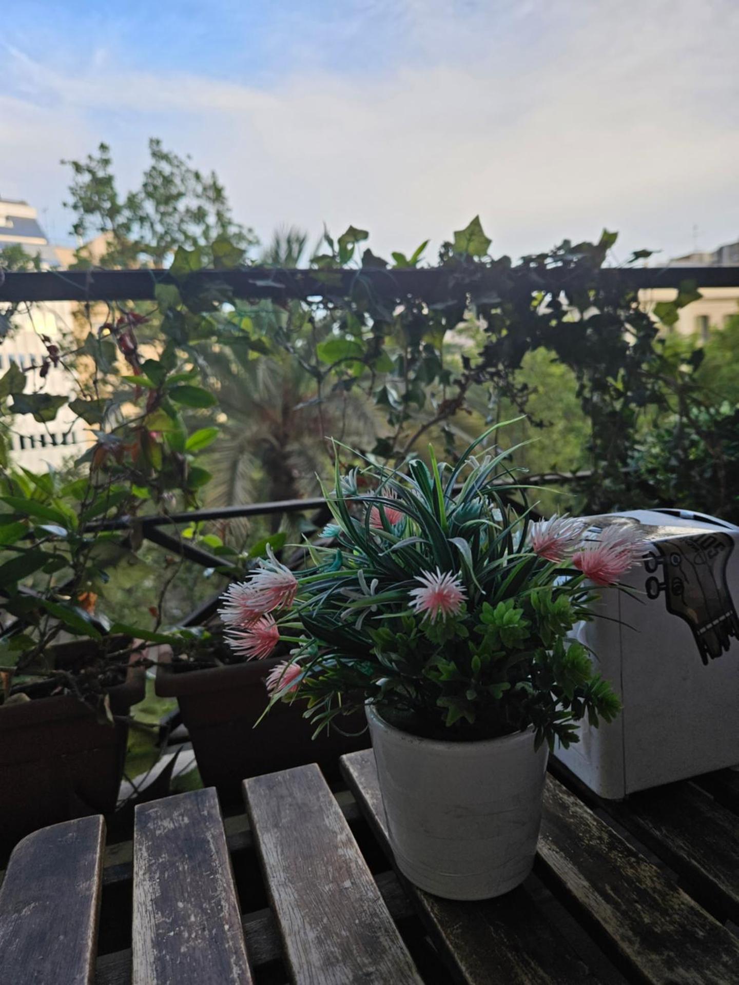 Wow Hostel Barcelona