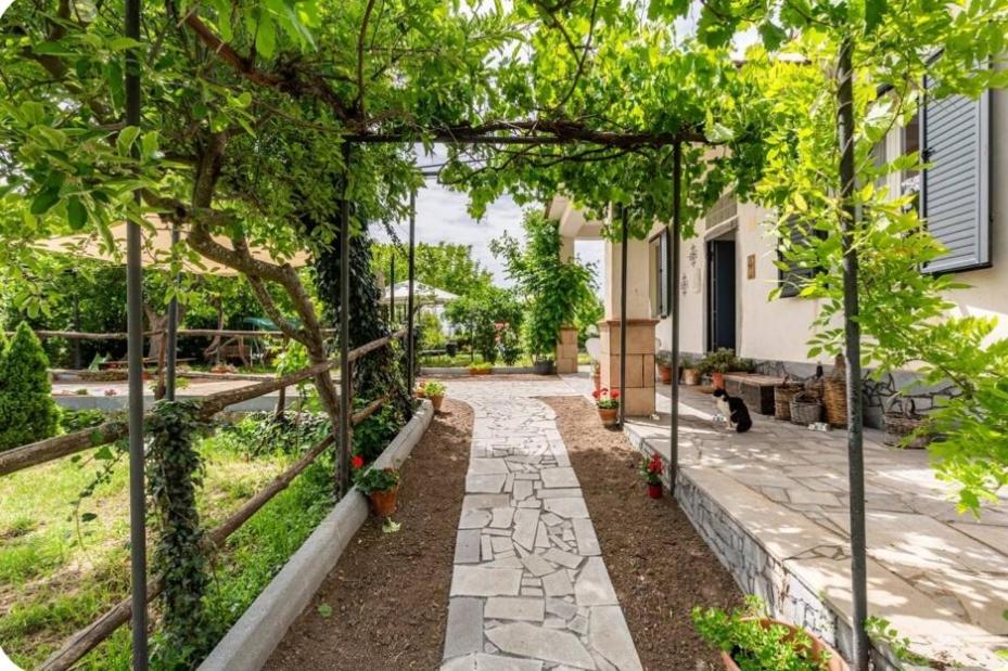 Etna, salvia e rosmarino