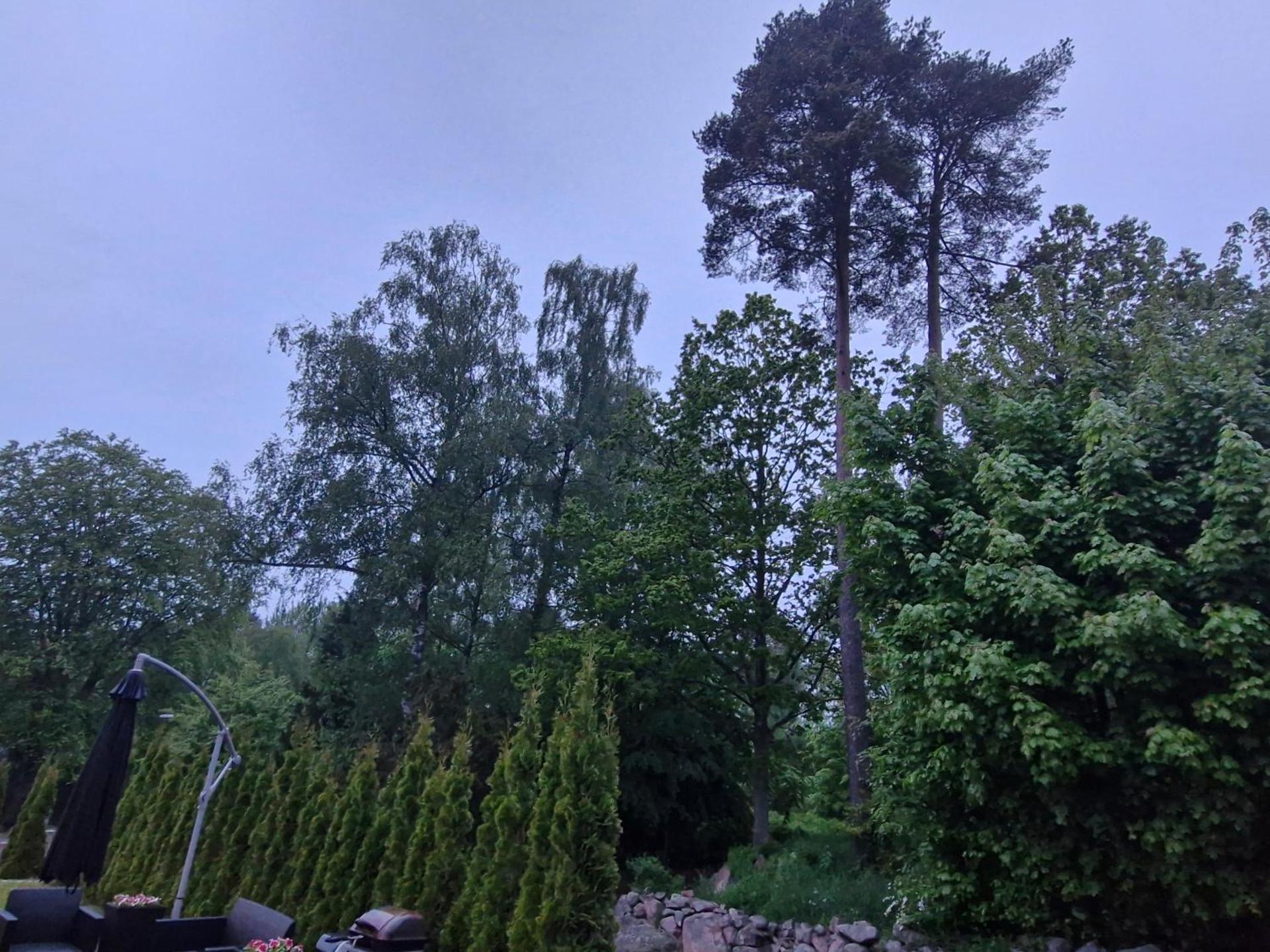 HOLIDAY NEST Family Apart Guest House 26m2 - Mysigt studio för 4 pers