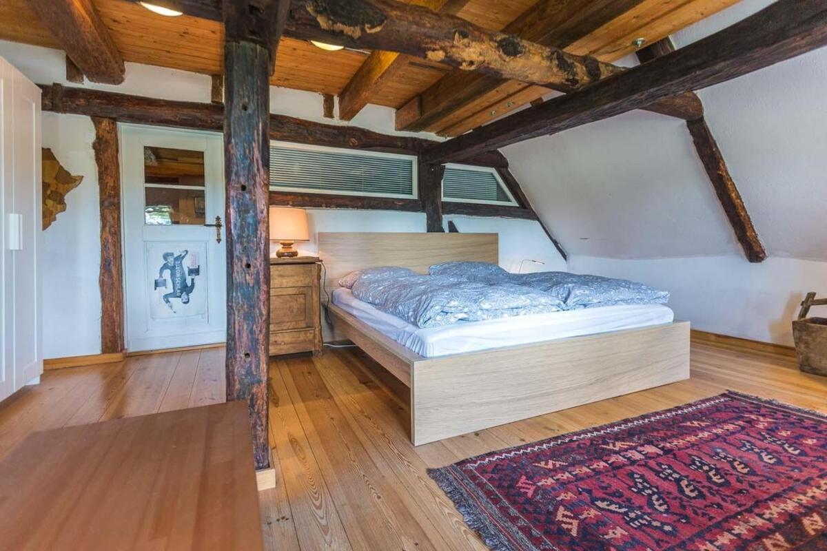 Reetdachhaus mit Elbblick