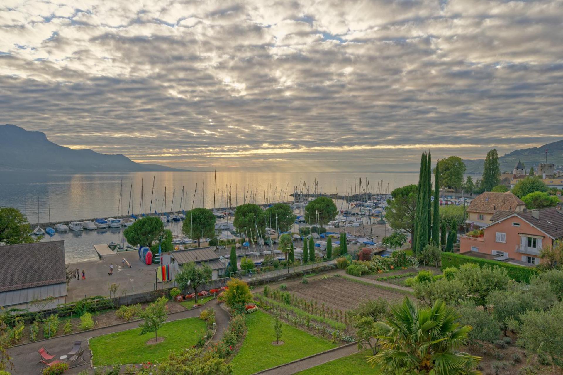 View (from property/room)