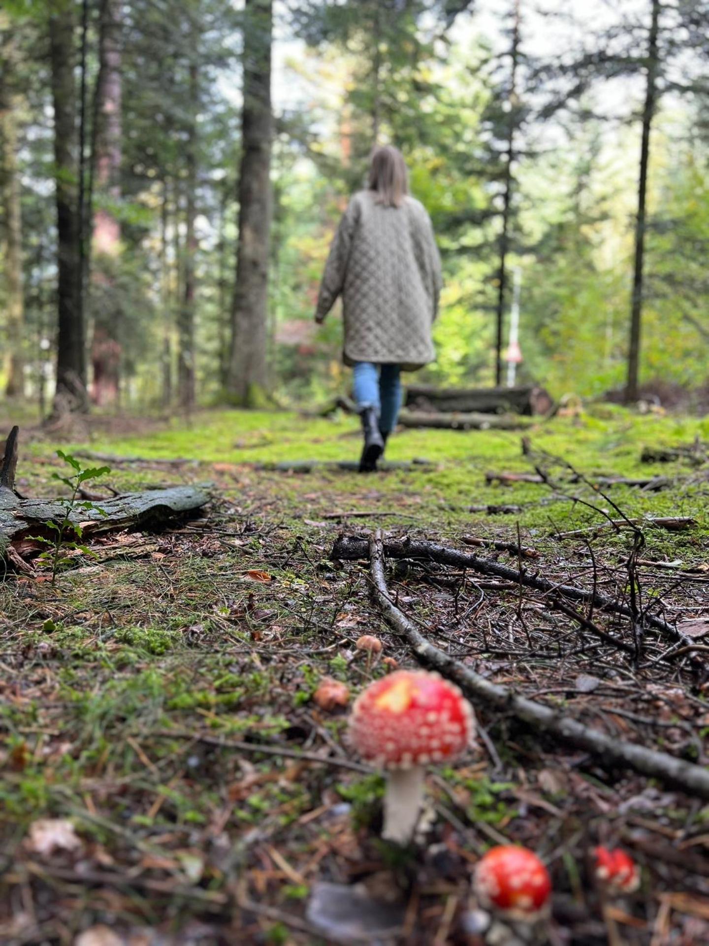 Ferienwohnung Schwarzwald Lodge