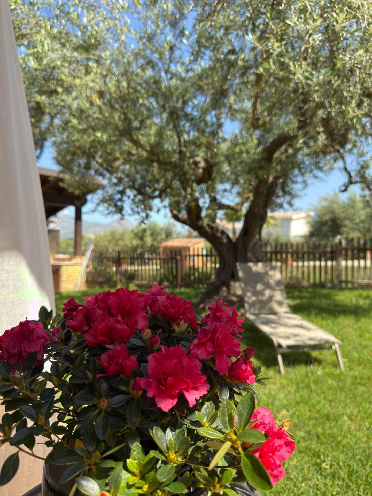 Azienda Agrituristica Baglio Carta