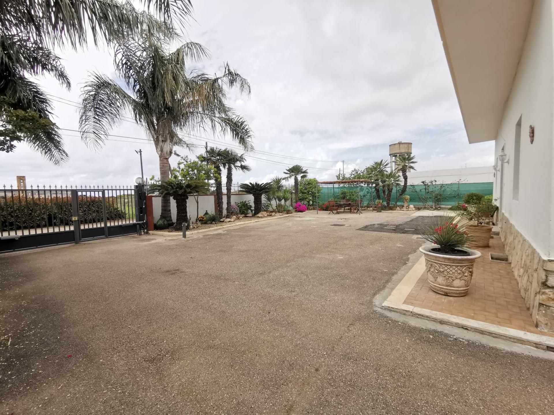 Al nido delle rondini