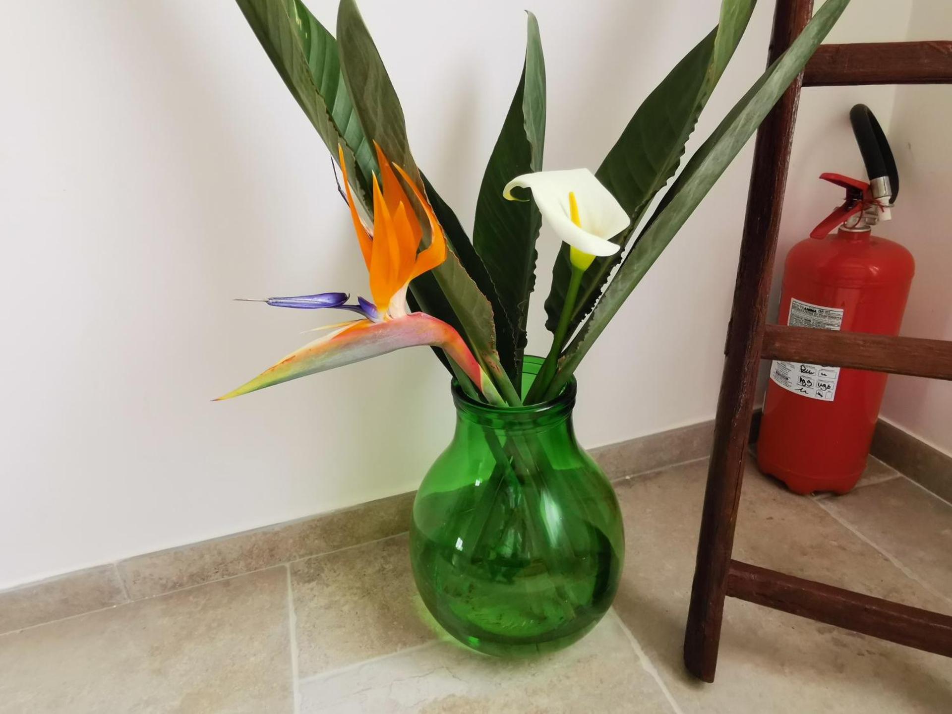 Al nido delle rondini