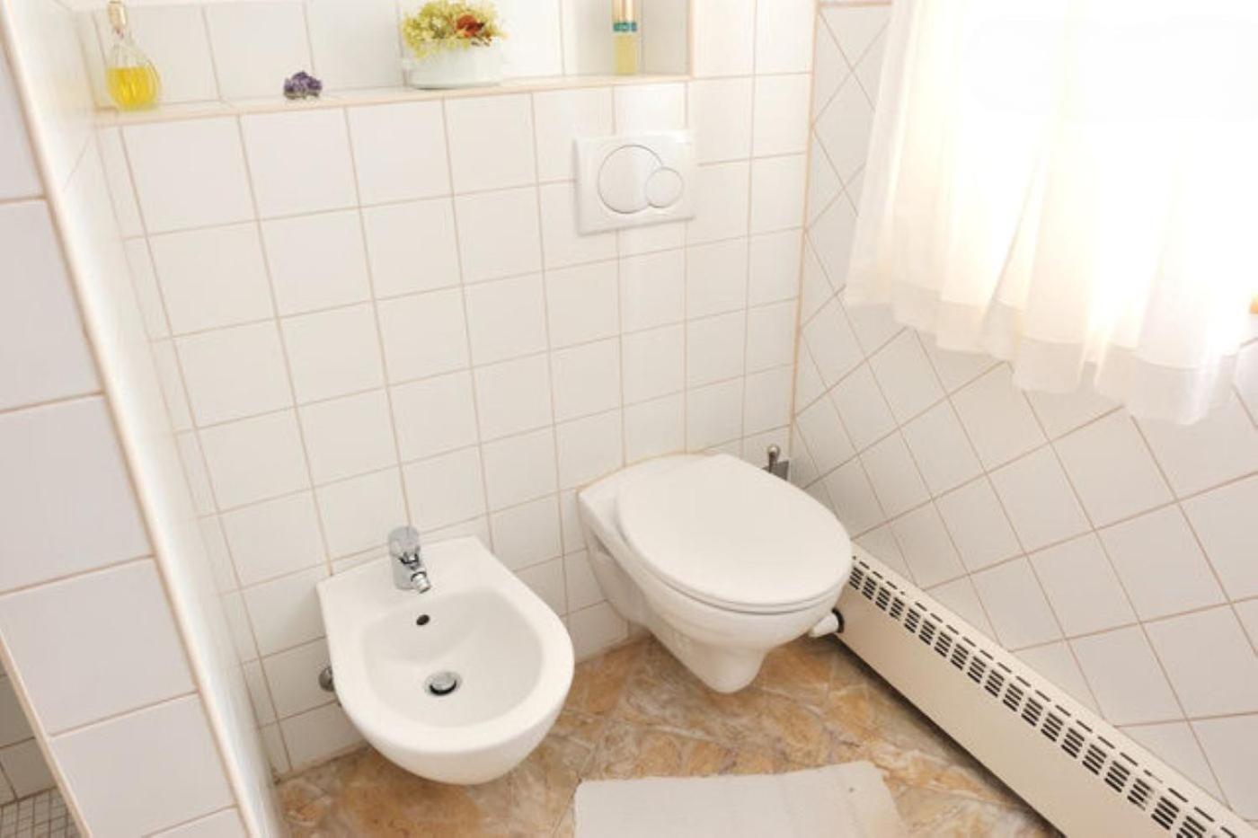 Retreat in the Bohemian Forest