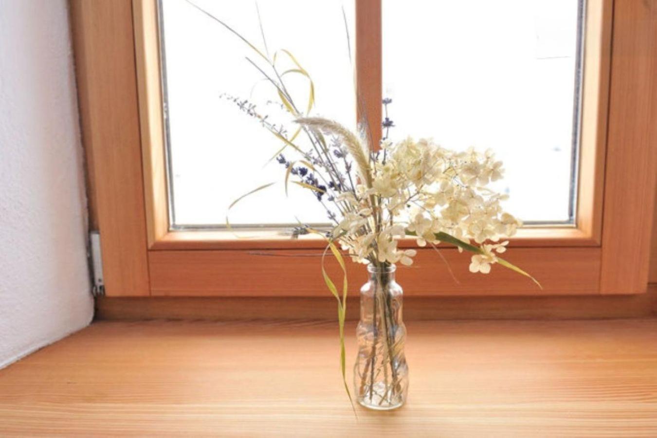 Retreat in the Bohemian Forest