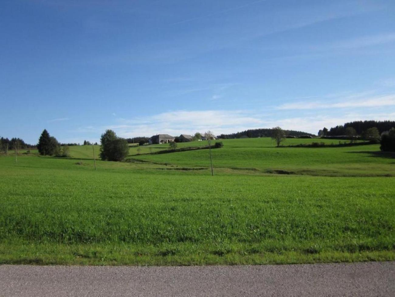 Retreat in the Bohemian Forest