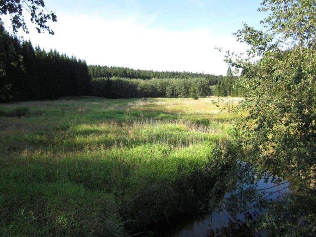 Retreat in the Bohemian Forest