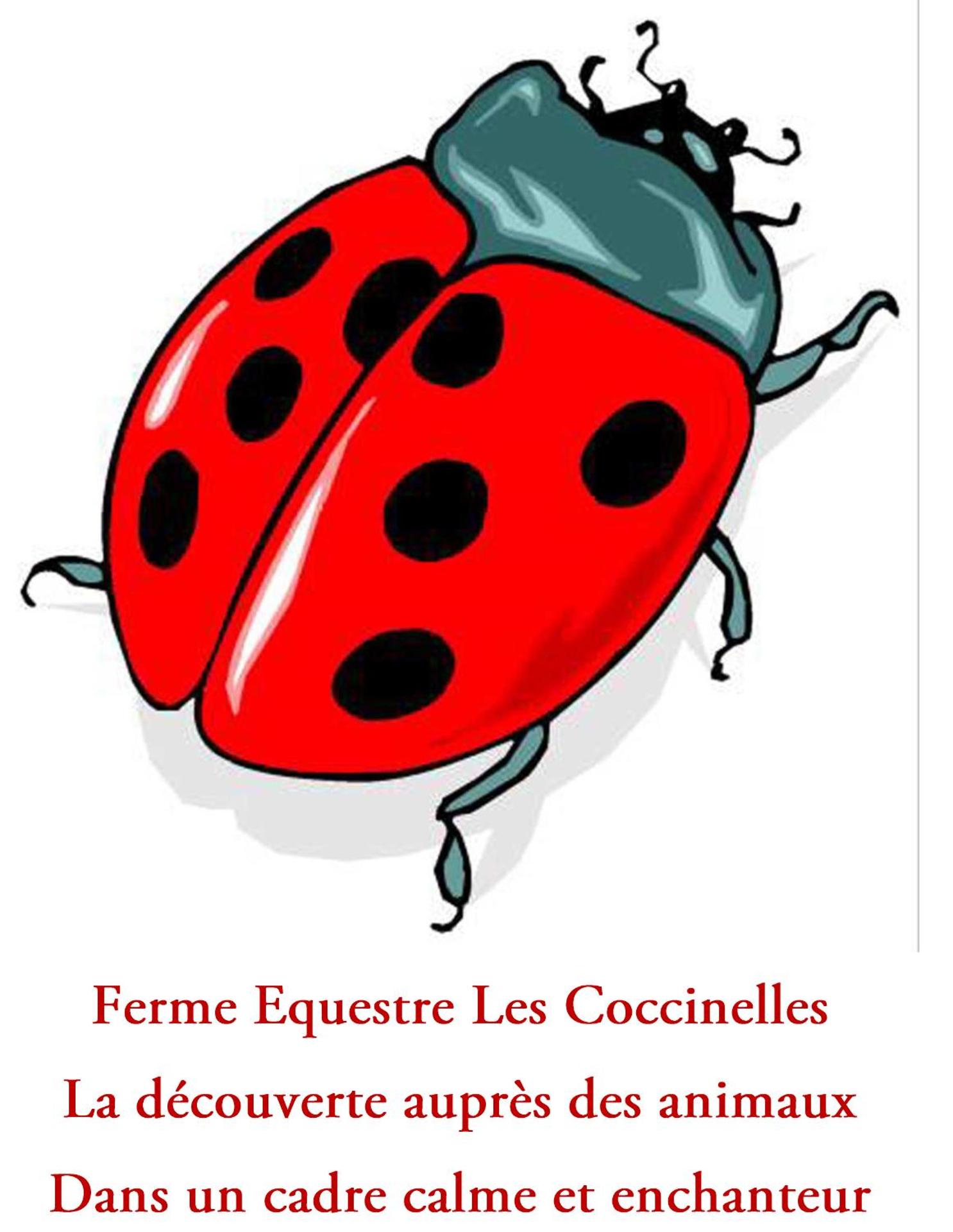 Ferme Equestre Les Coccinelles