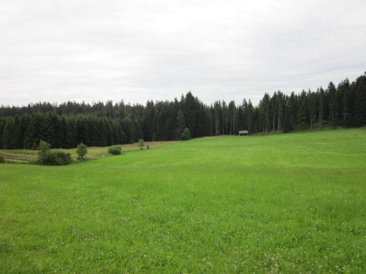 Retreat in the Bohemian Forest