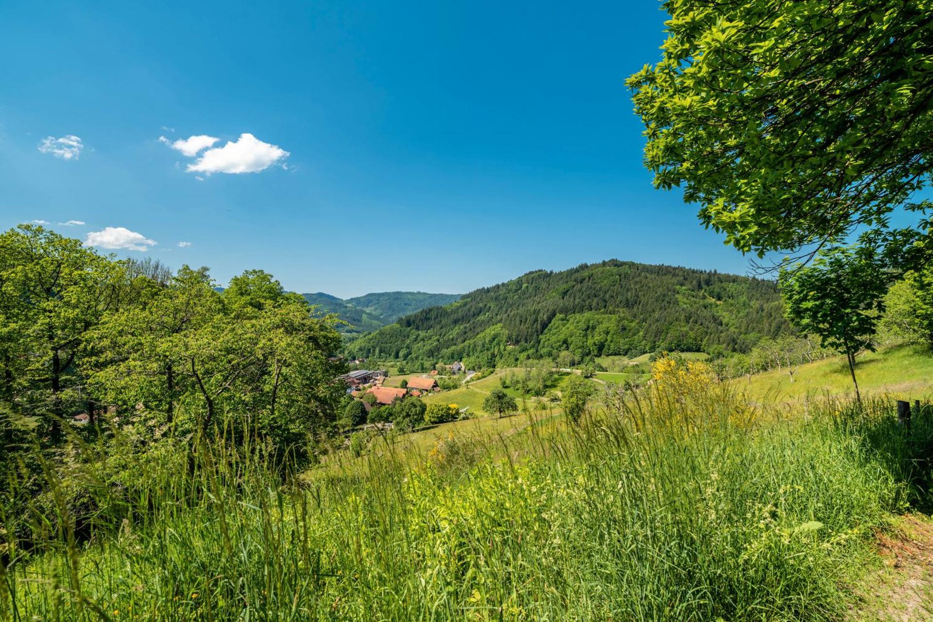 Ferienwohnung Kuckuckslockennest