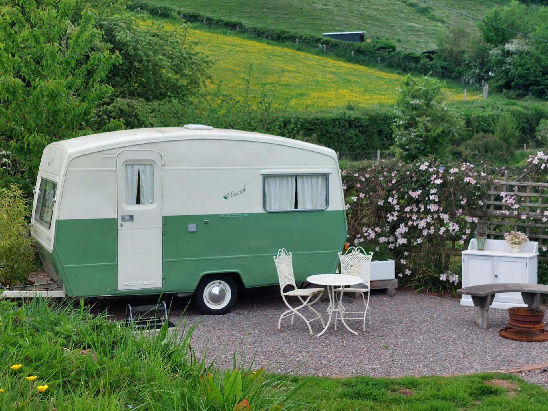 Steam and Stars Luxury Glamping