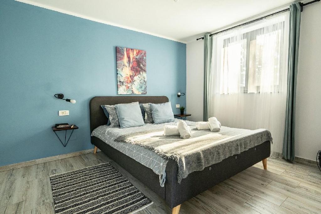 Vila Blanc Valiug Crivaia