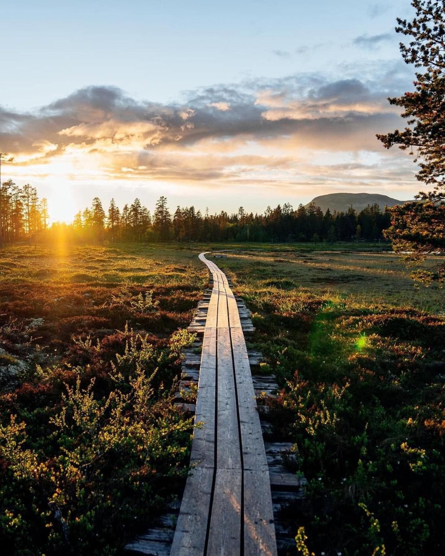 Lindvallen Ski Resort Pool and Padel - Sauna - 6 Guests - Pet Friendly