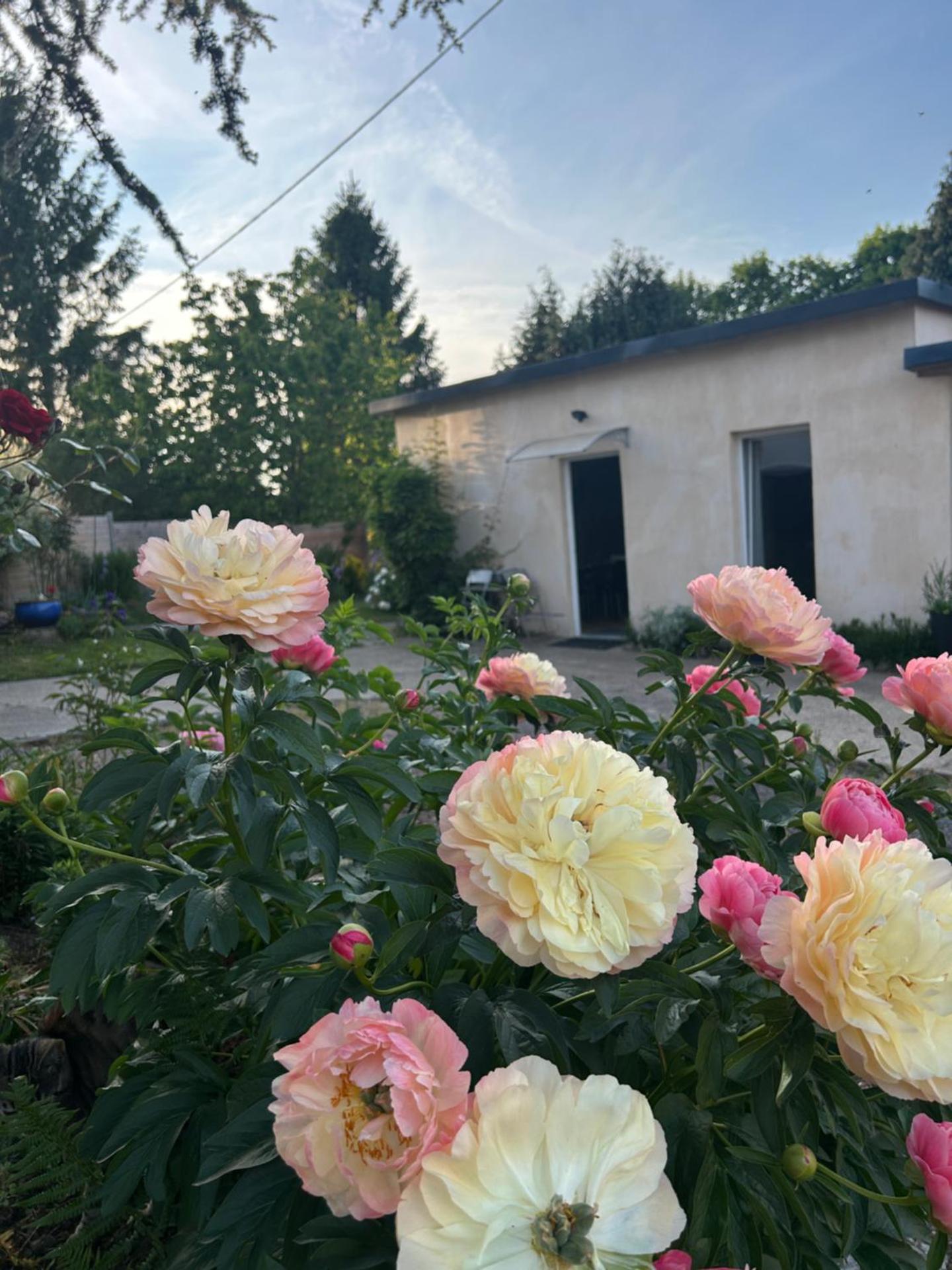 Studio indépendant Lisieux