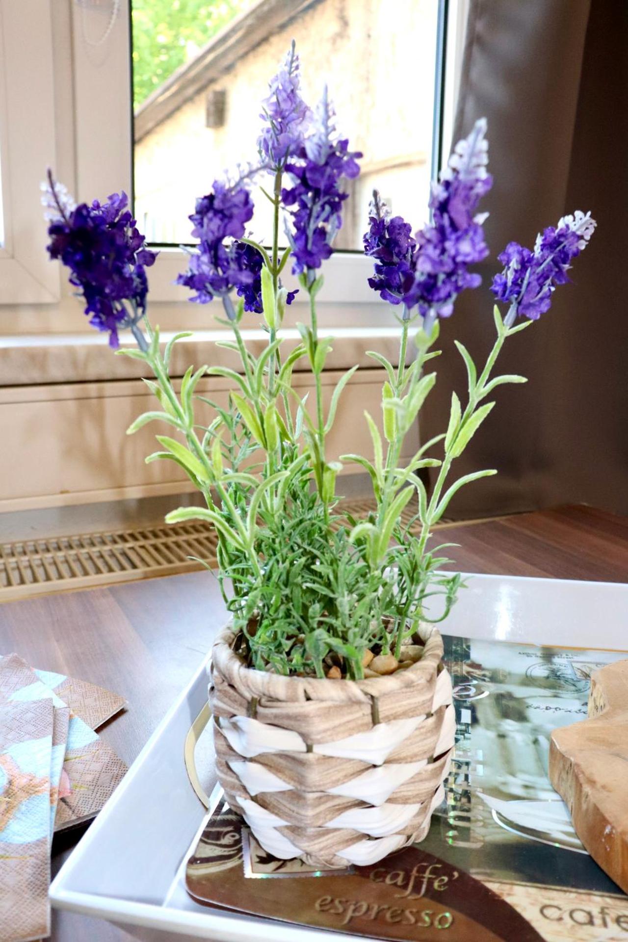 Sei hier Gast - Unterkunft Zimmer Klosterhof Aschersleben