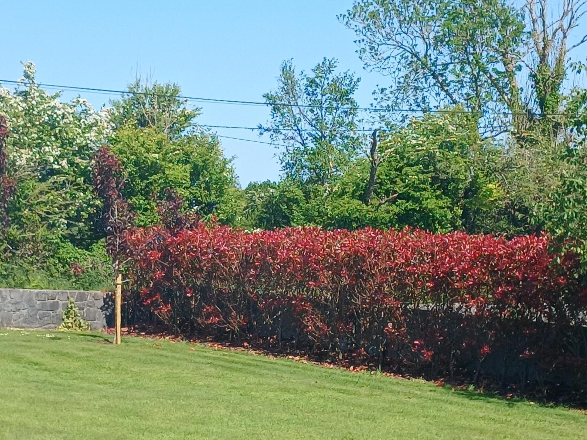 Basic, Warm, Cosy, Private Little Chalet