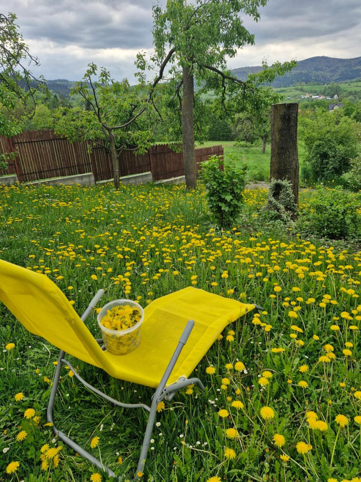 Chata pod Mogielicą komfortowe pokoje z widokiem na Mogielicę 1000m od tras wokół góry Mogielica