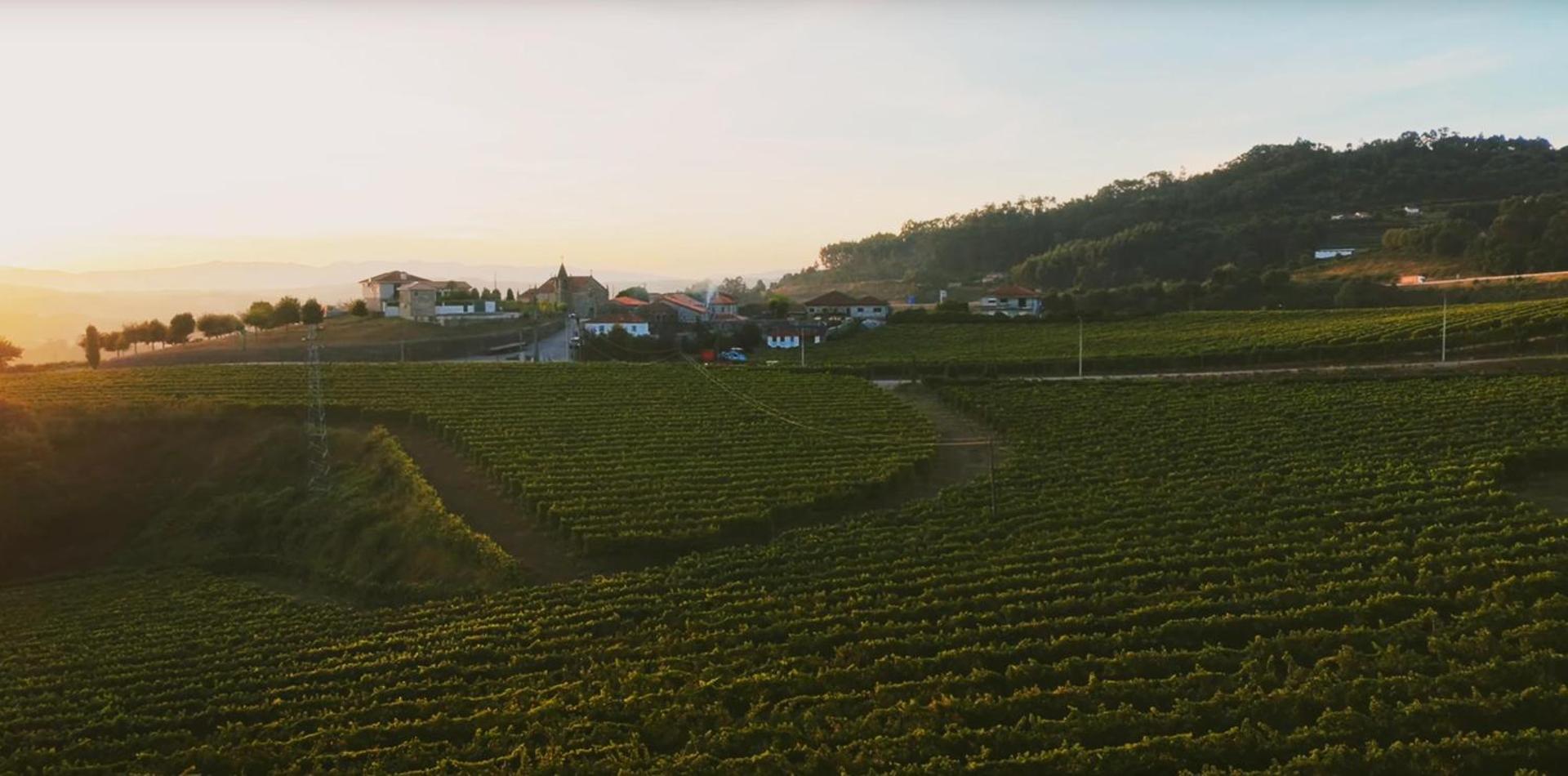 The FarmHouse I - Uma quinta deslumbrante