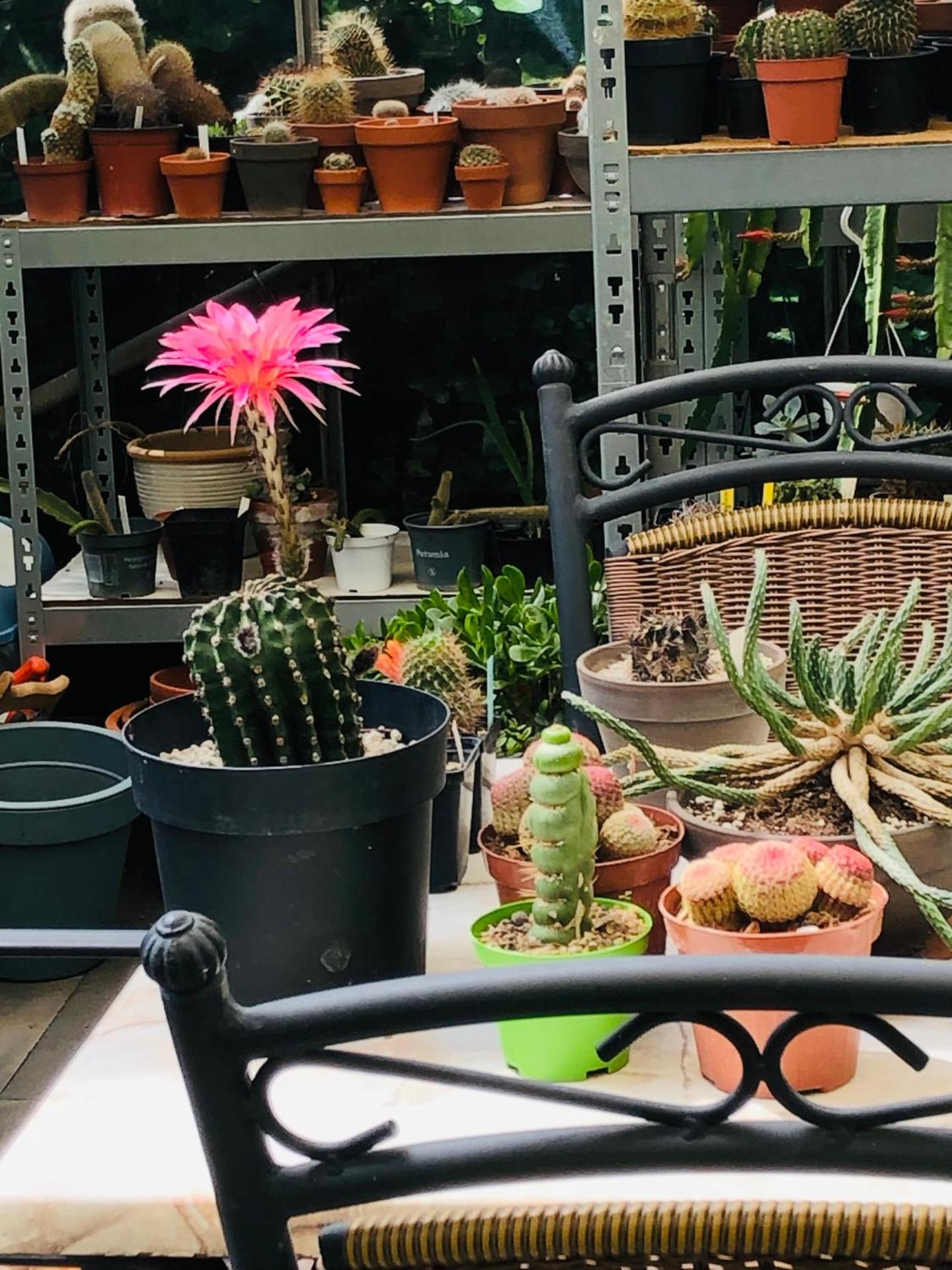 B &B Yuupke Maasbree Noord-Limburg Venlo Roermond