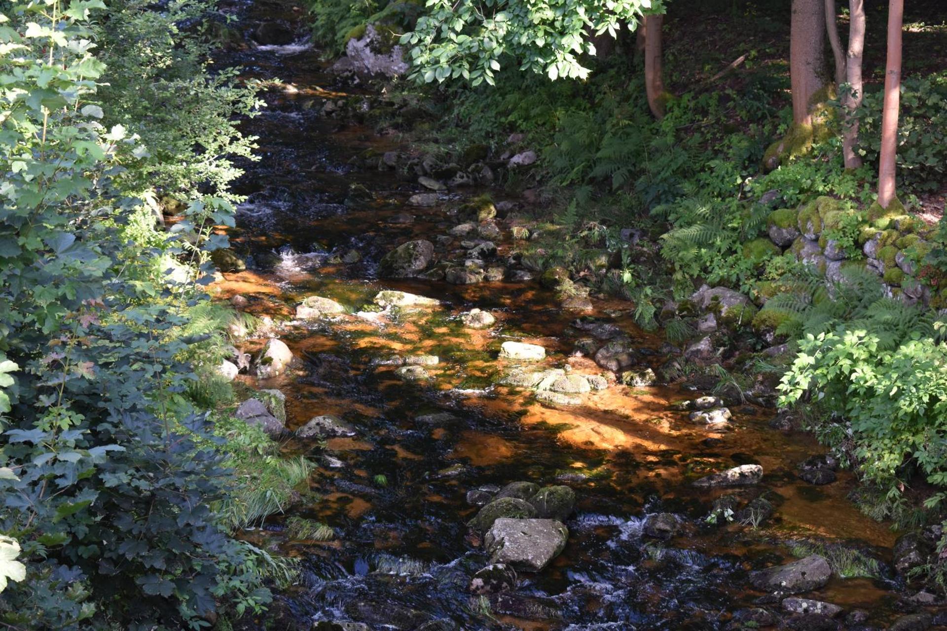 Apartmán Danuška Harrachov