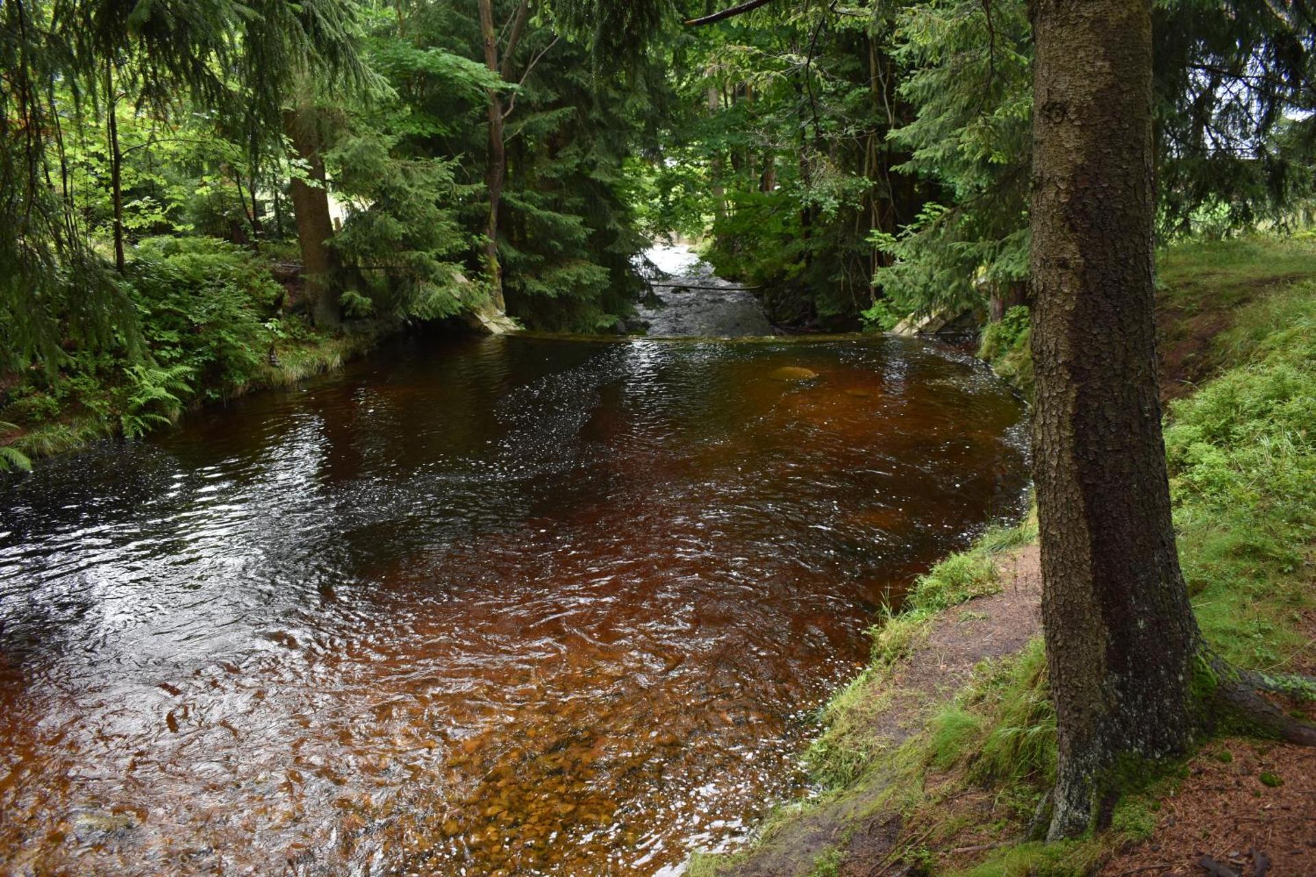 Apartmán Danuška Harrachov