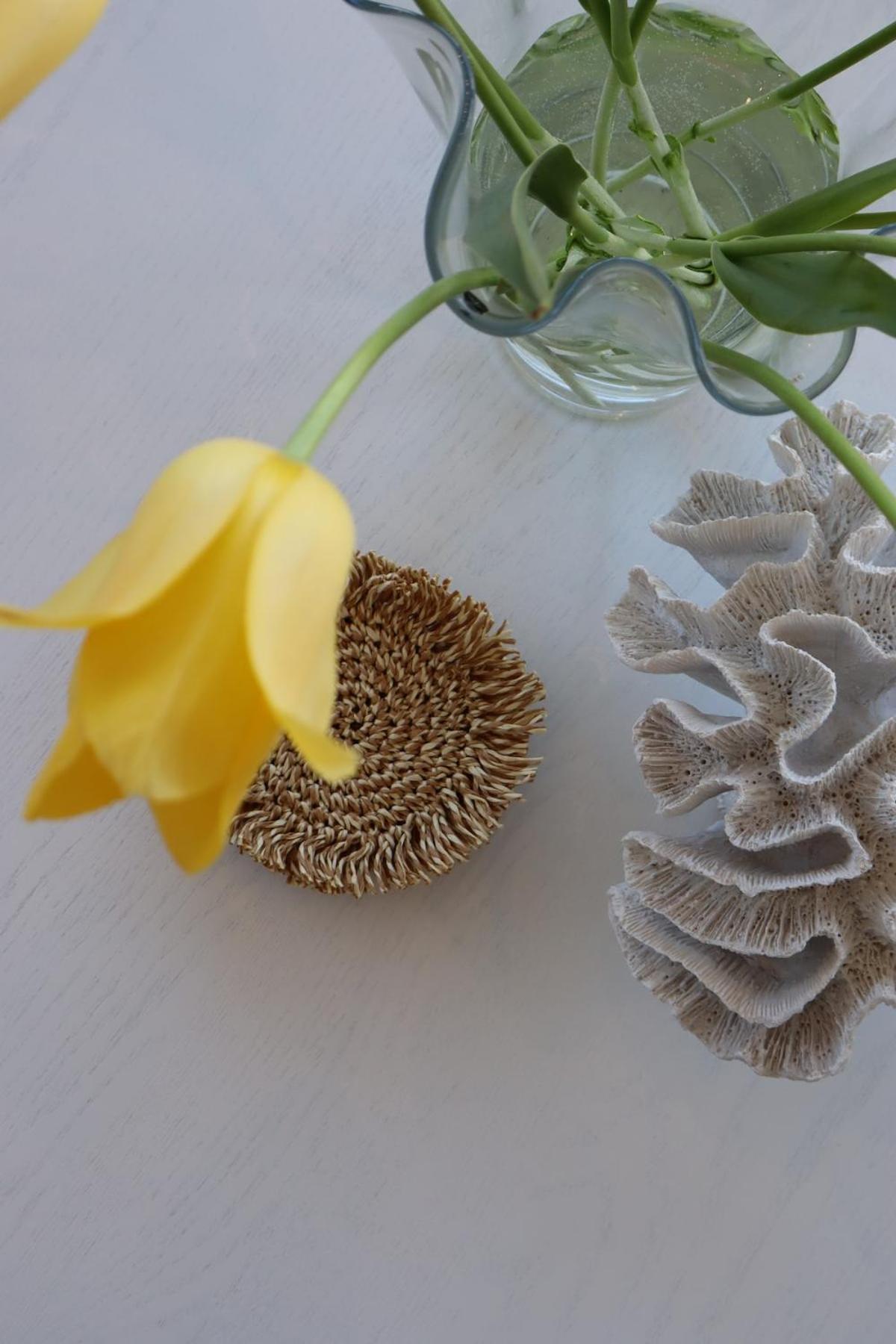 Penthouse over the harbour