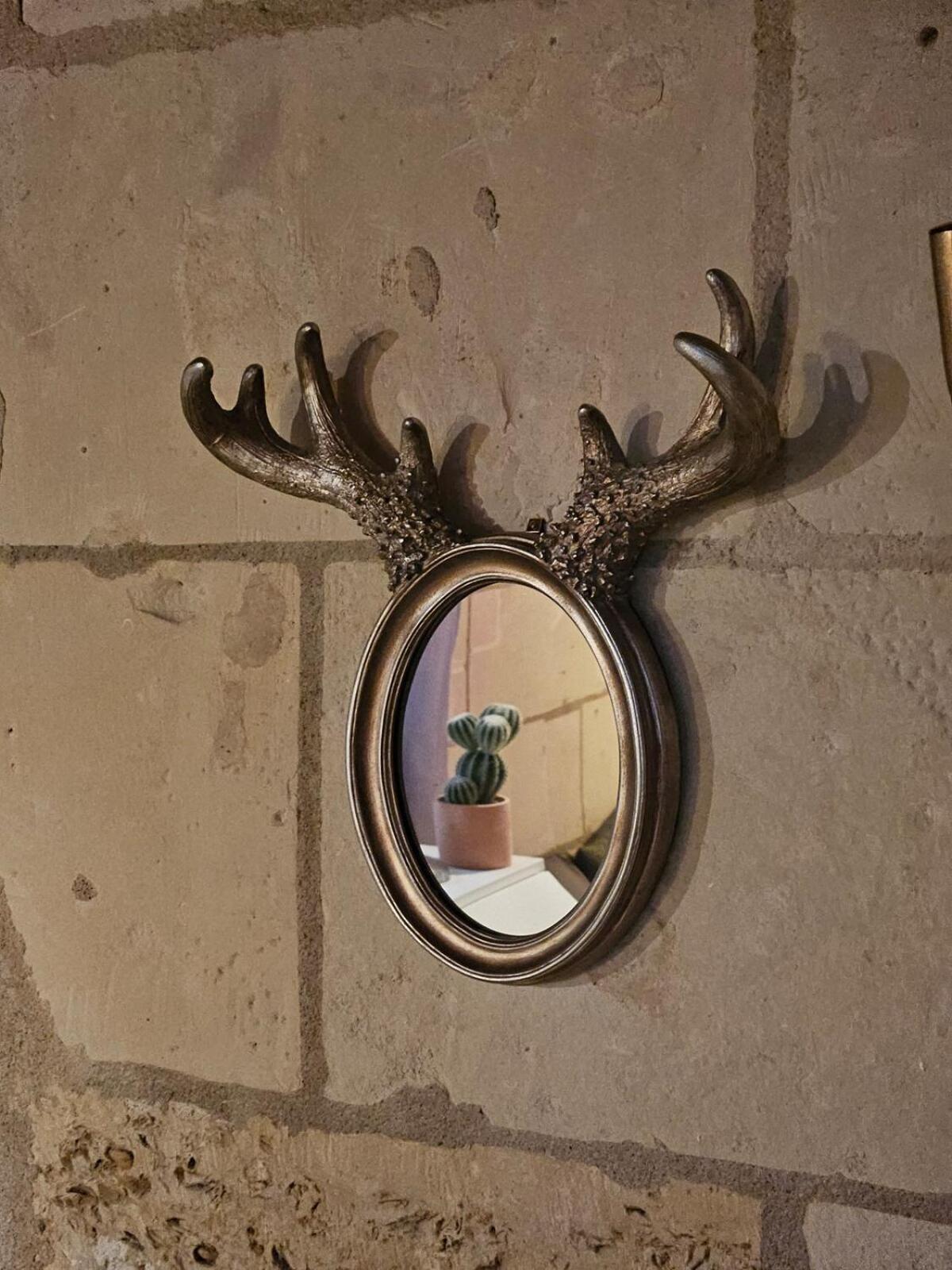 Historic Robin Quantin Tours Hyper-Center Place Plumereau