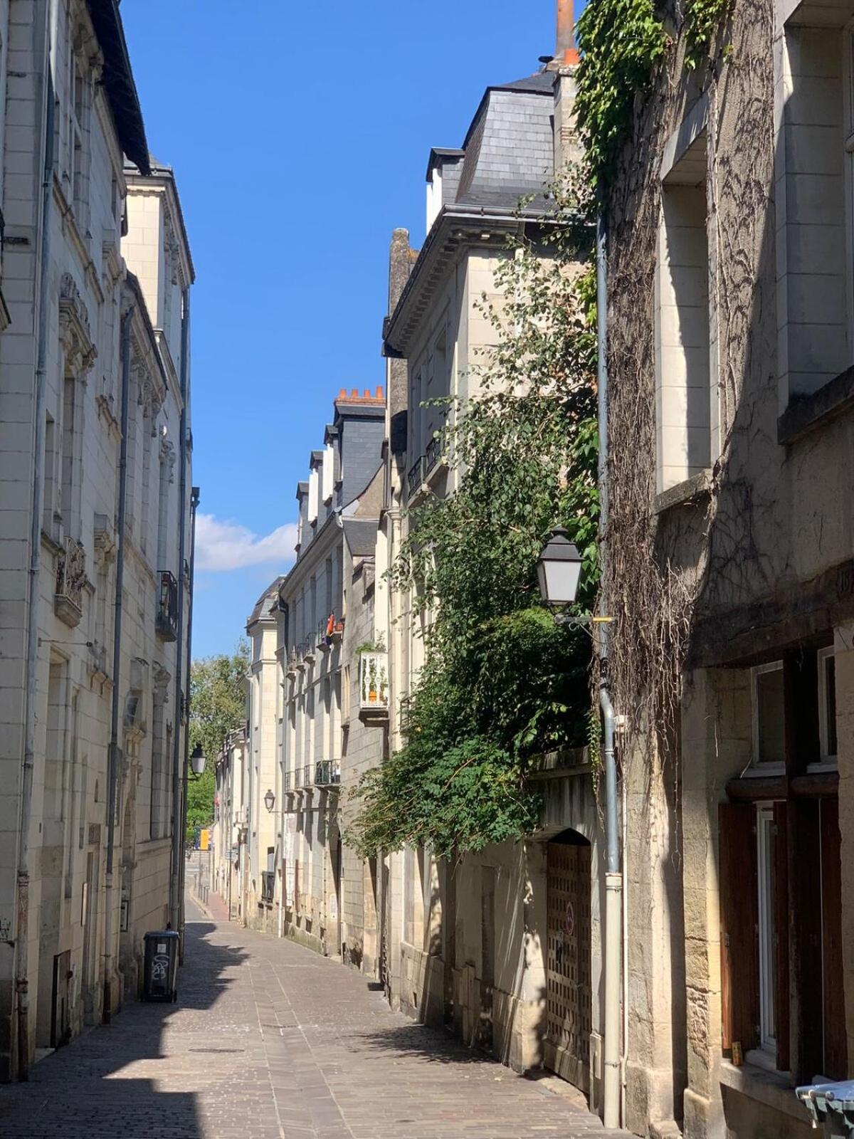 Historic Robin Quantin Tours Hyper-Center Place Plumereau