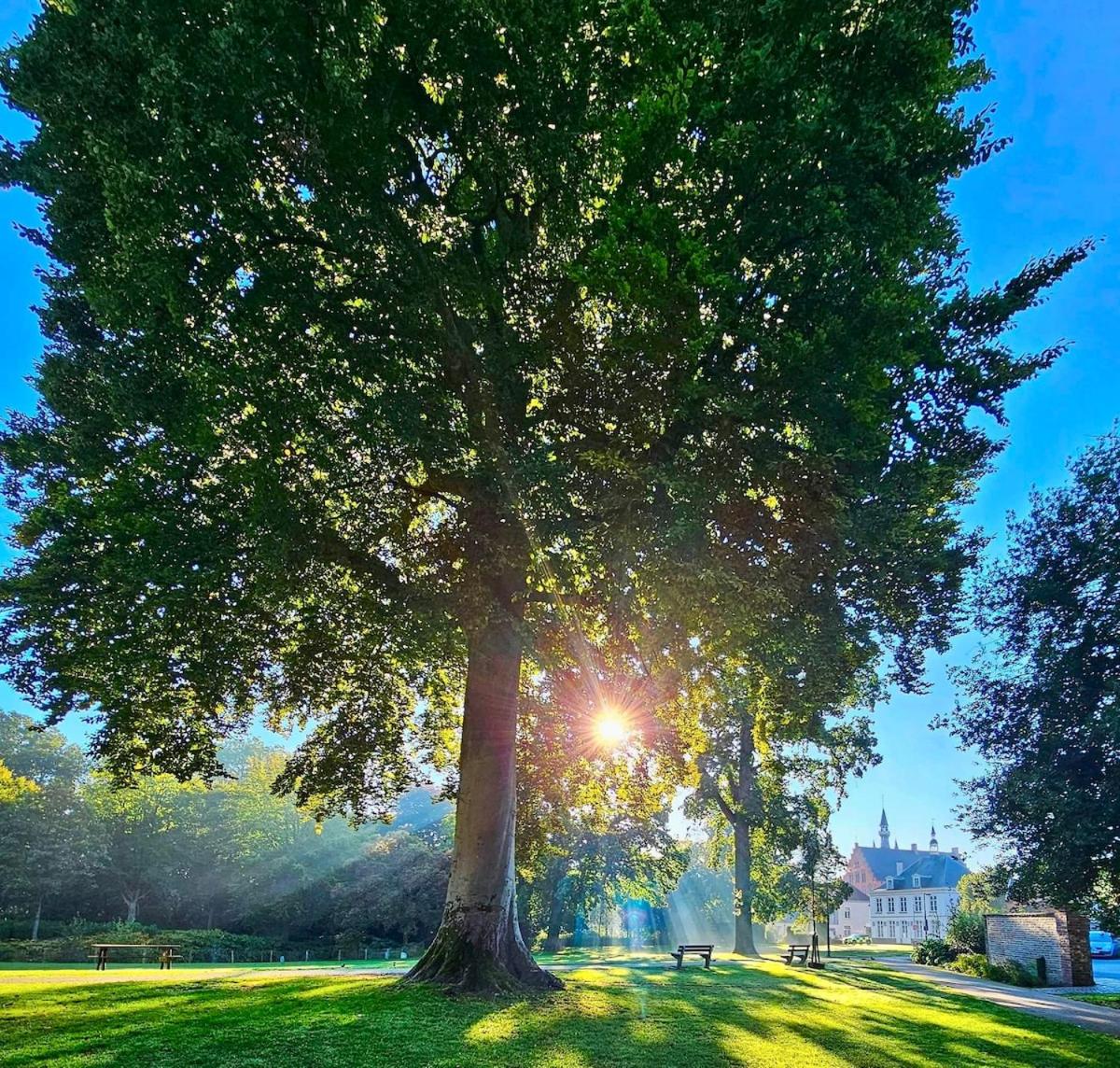 Stylish downtown loft and opposite park