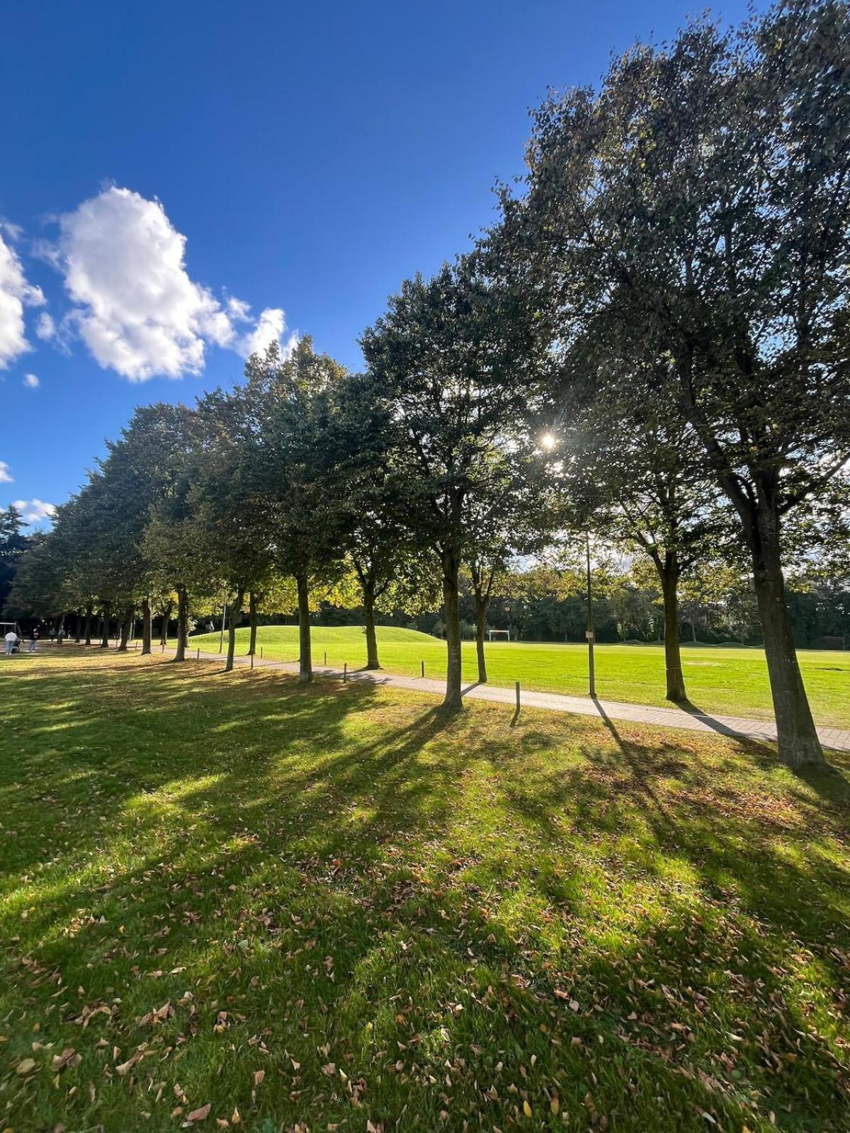 Stylish downtown loft and opposite park