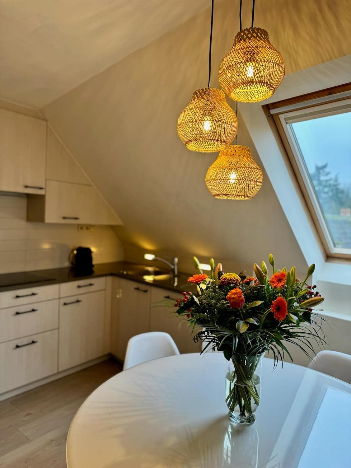 Stylish downtown loft and opposite park