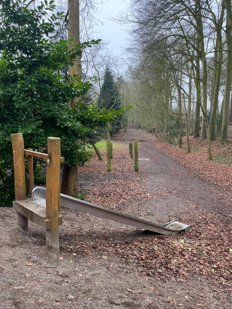 Stylish downtown loft and opposite park