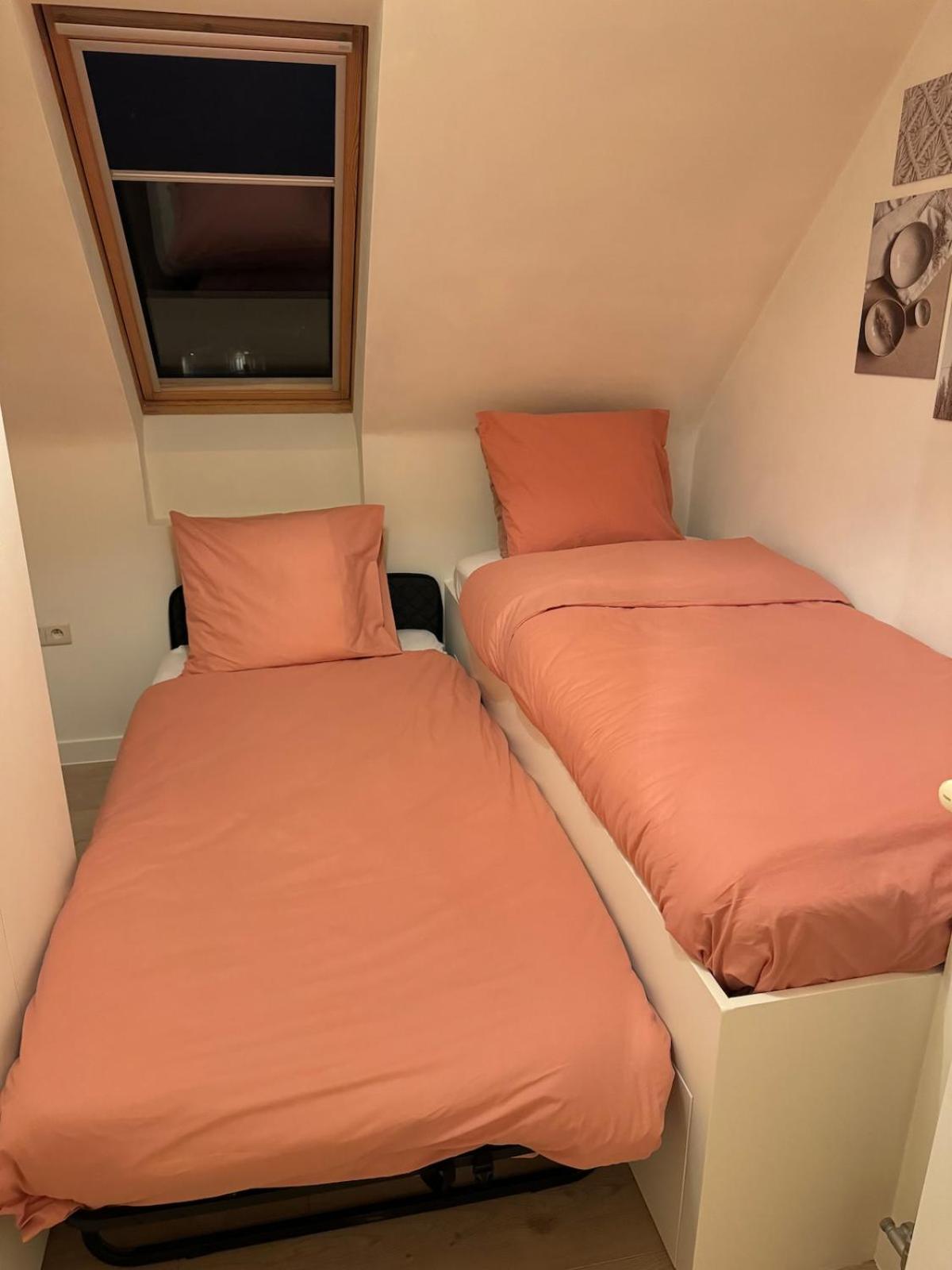 Stylish downtown loft and opposite park