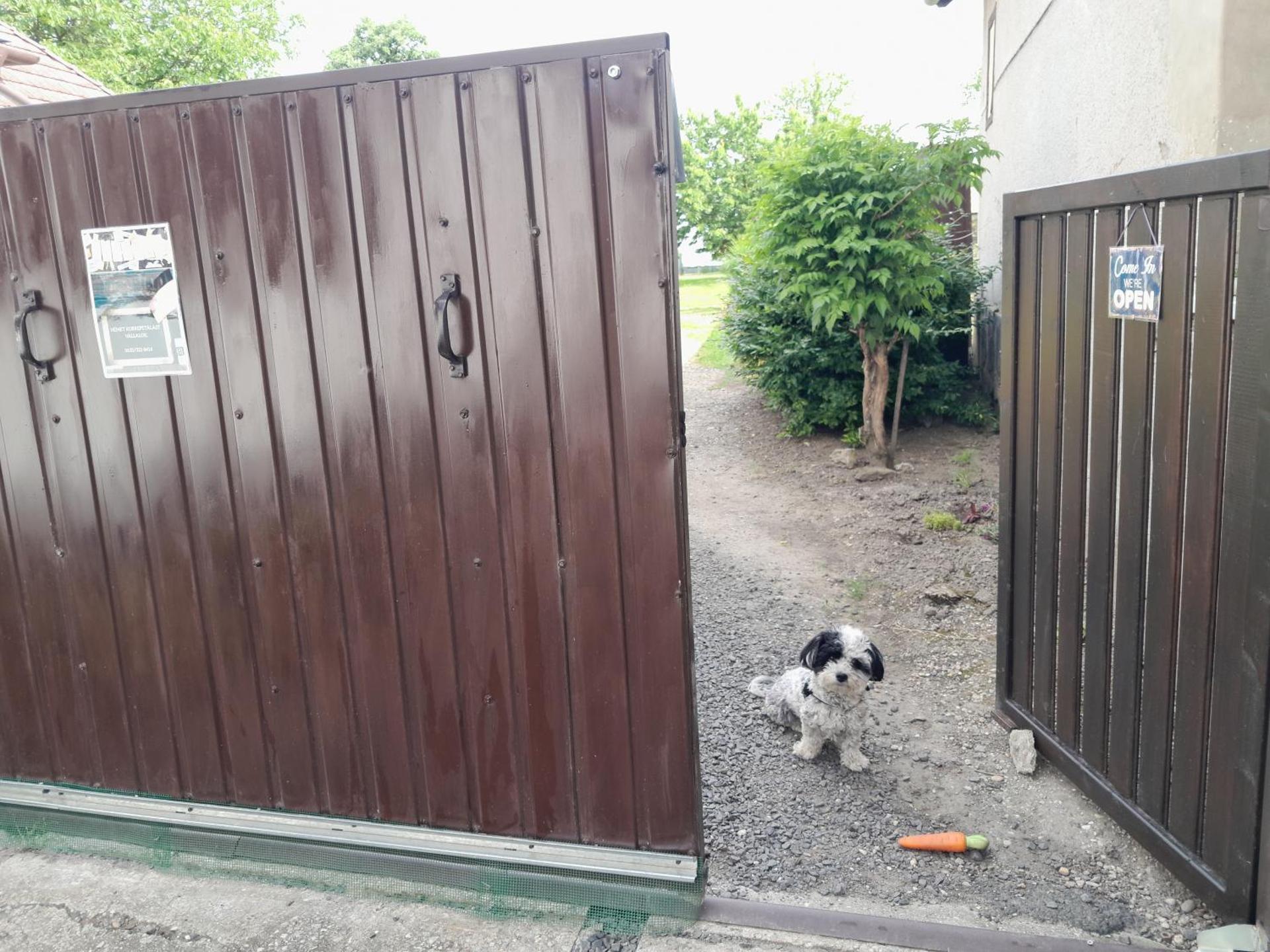 Kék Vándor Vendégház