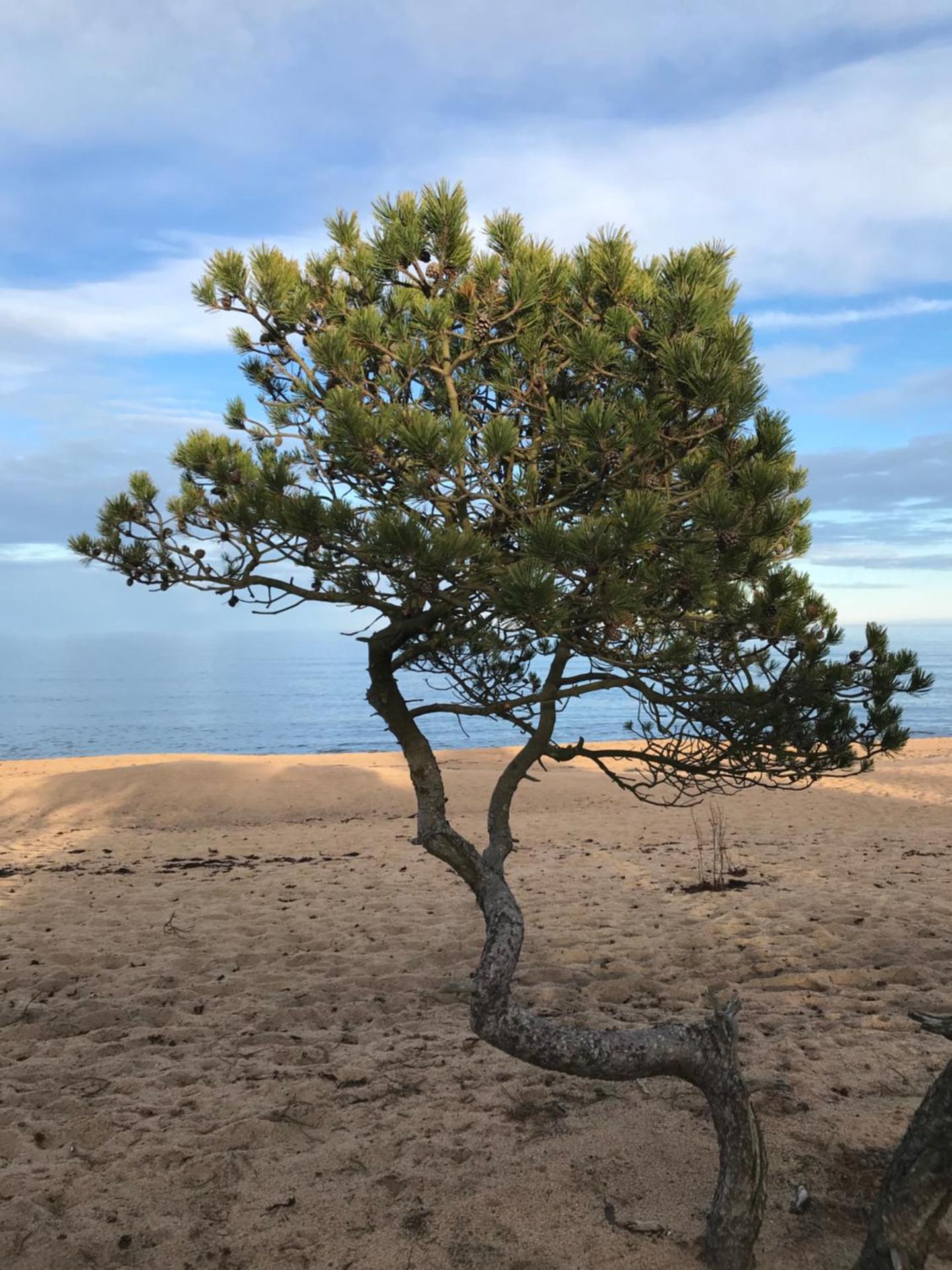 Simrishamn, Österlen - privat boende med egen ingång