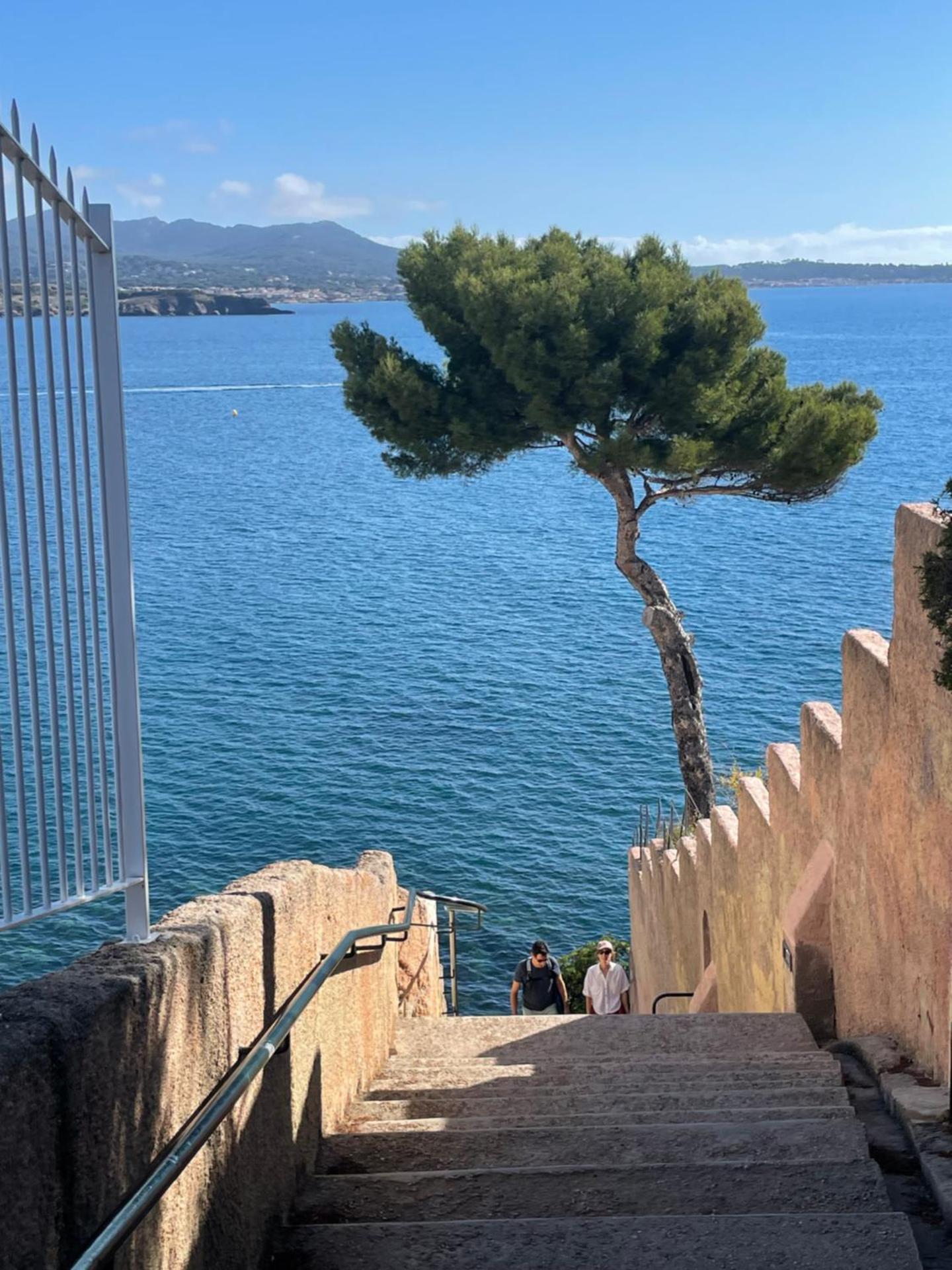 Chez Amali - Élégant appartement de vacances en Provence avec terrasse