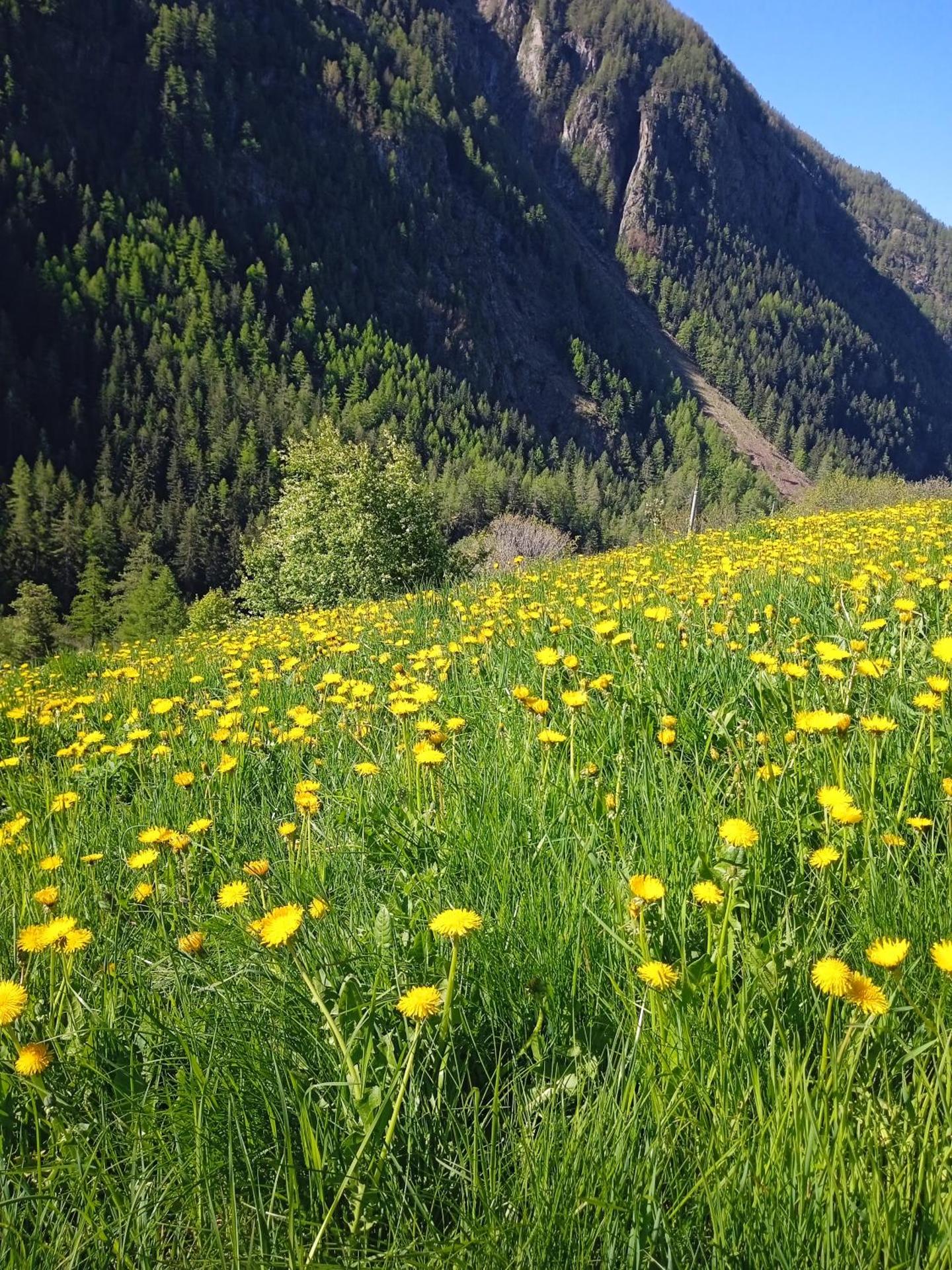 Maison Neige Et Soleil