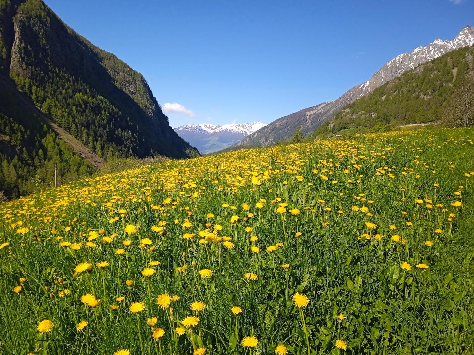 Maison Neige Et Soleil