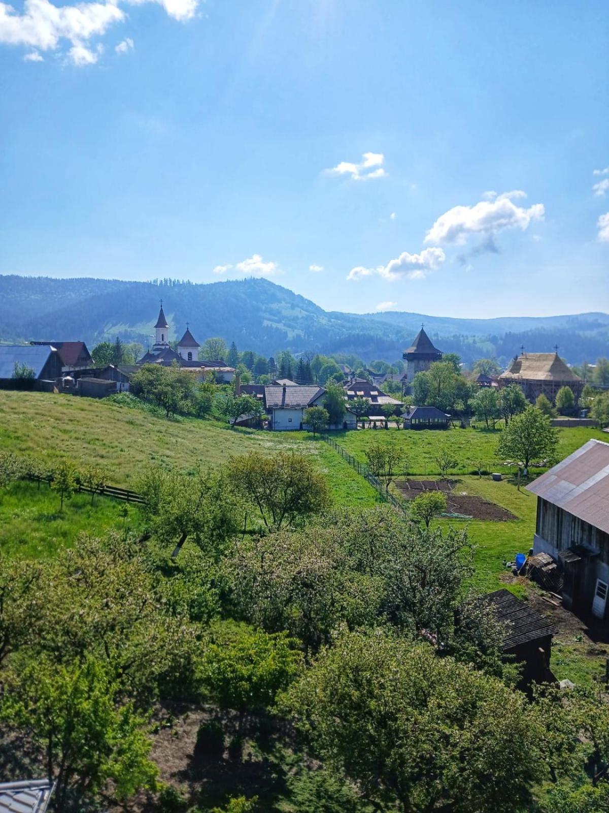 Pensiunea La Bucovina