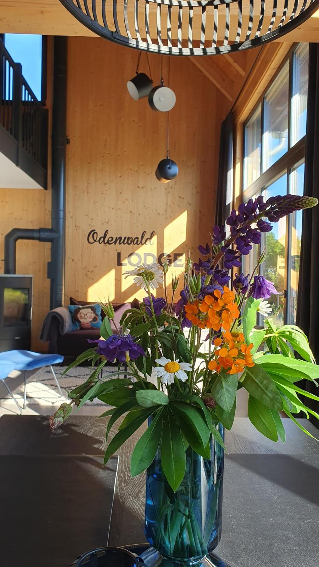 Odenwald-Lodge mit Infrarotsauna und E-Ladestation "Haus Purpur"