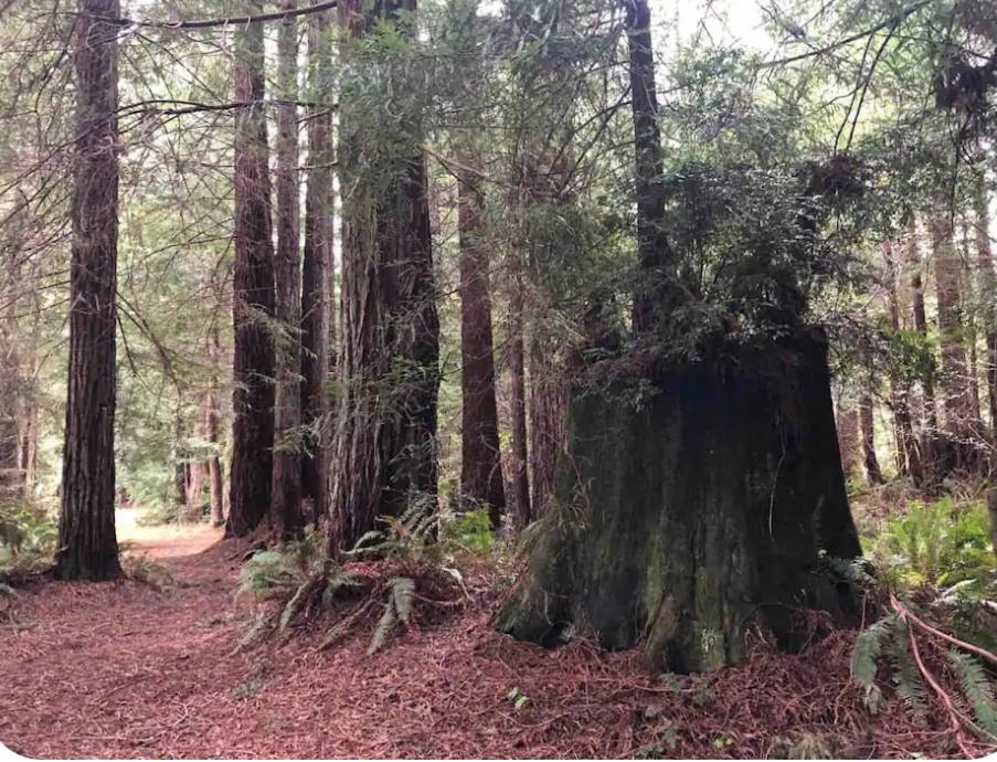 Quadruple Room with Bathroom