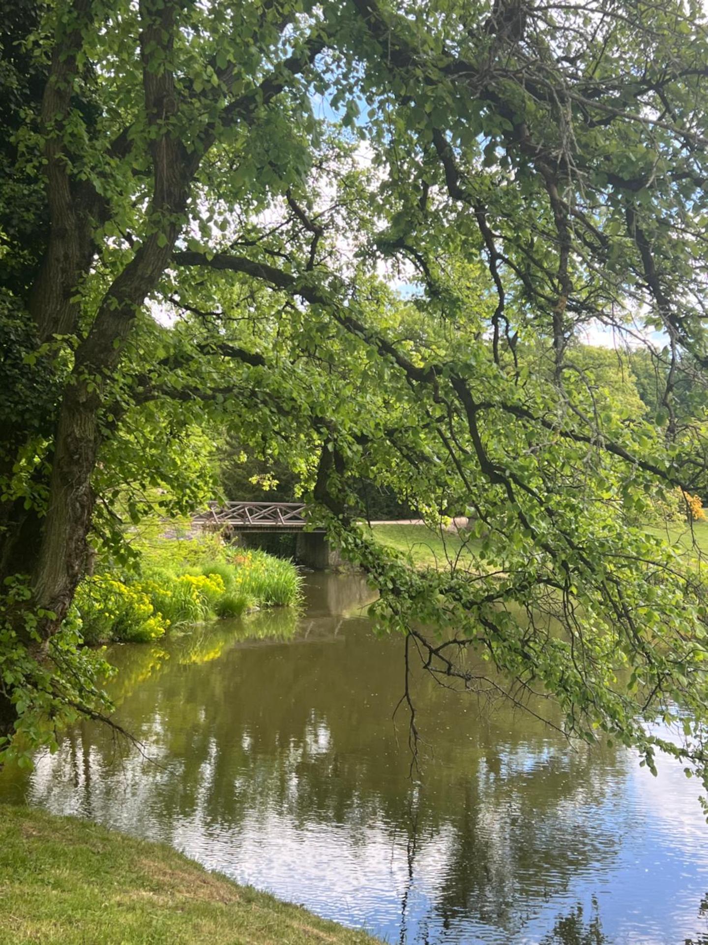 Appartment Pruhonice & terrace