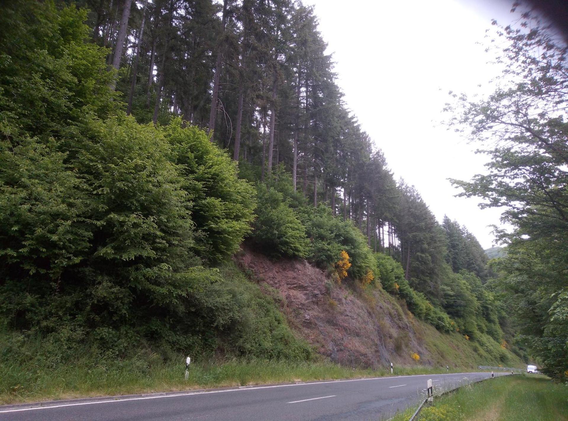 My Home is my Castle