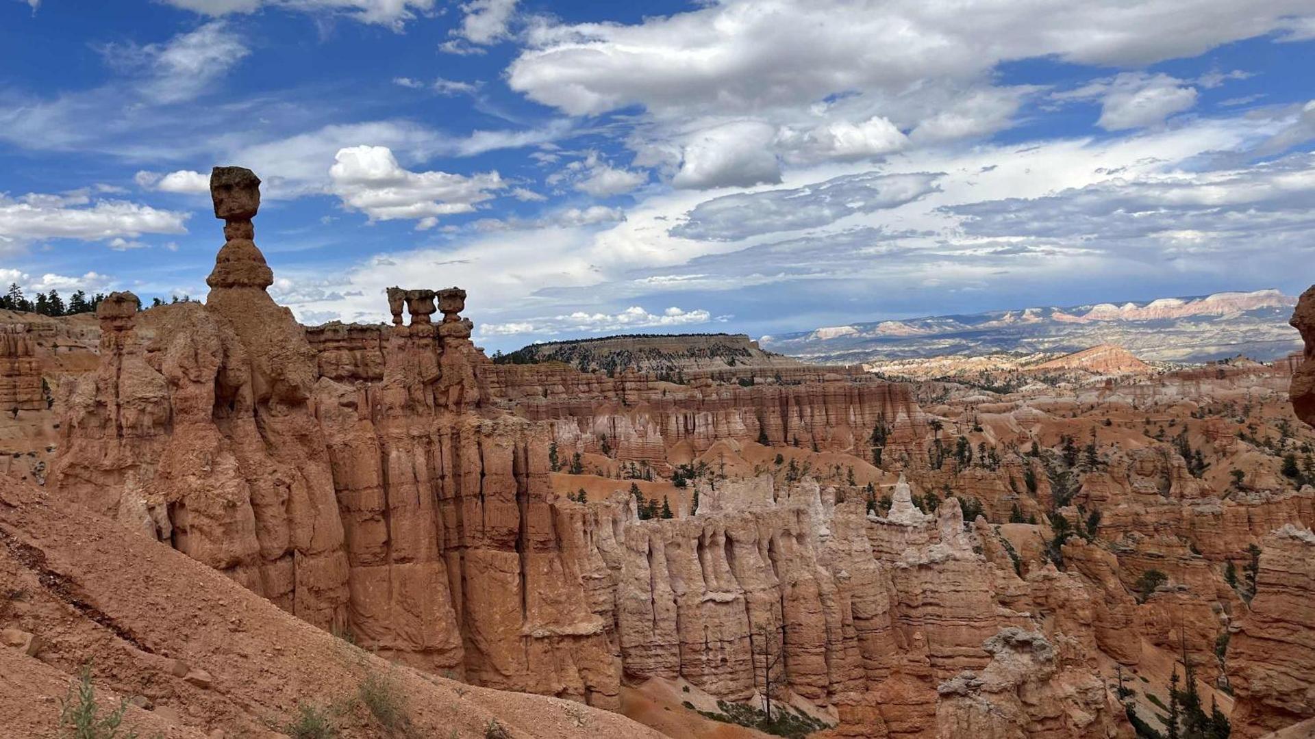 Yurt Overlook #8 with AC and Private Bath King Suite